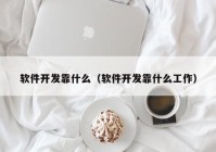 软件开发靠什么（软件开发靠什么工作）