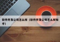 软件开发公司怎么样（软件开发公司怎么样知乎）