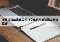 哪里找网站建设公司（专业的网站建设公司哪家好）