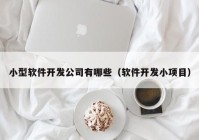 小型软件开发公司有哪些（软件开发小项目）