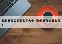 软件开发公司起名字大全（软件开发企业名称）