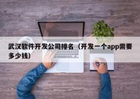 武汉软件开发公司排名（开发一个app需要多少钱）