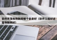 软件开发和物联网哪个前景好（软件工程好还是物联网好）