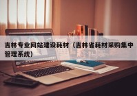 吉林专业网站建设耗材（吉林省耗材采购集中管理系统）